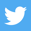 Twitter - social media icons